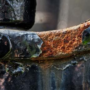 Rost