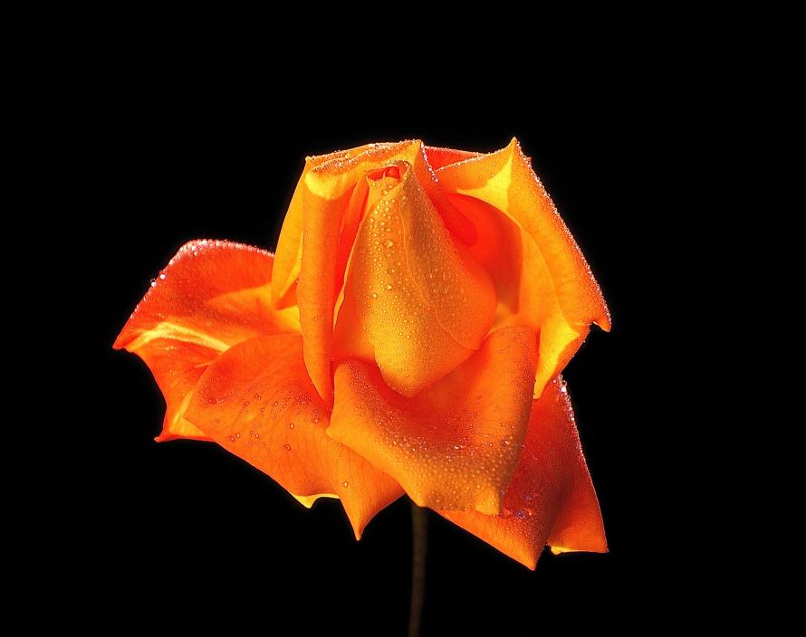 Analoge Aufnahme auf Kodak Ektachrome E100VS I