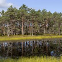 Lahemaa Nationalpark