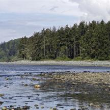 Vancouver Island - südliche Westküste