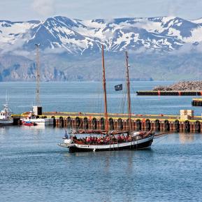 Ausfahrt zur Walbeobachtung II