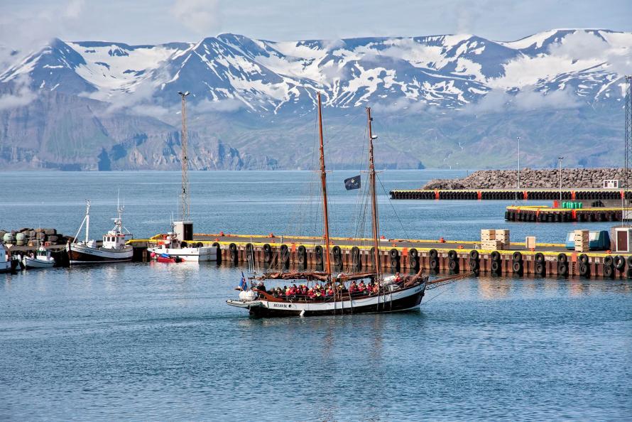 Ausfahrt zur Walbeobachtung II